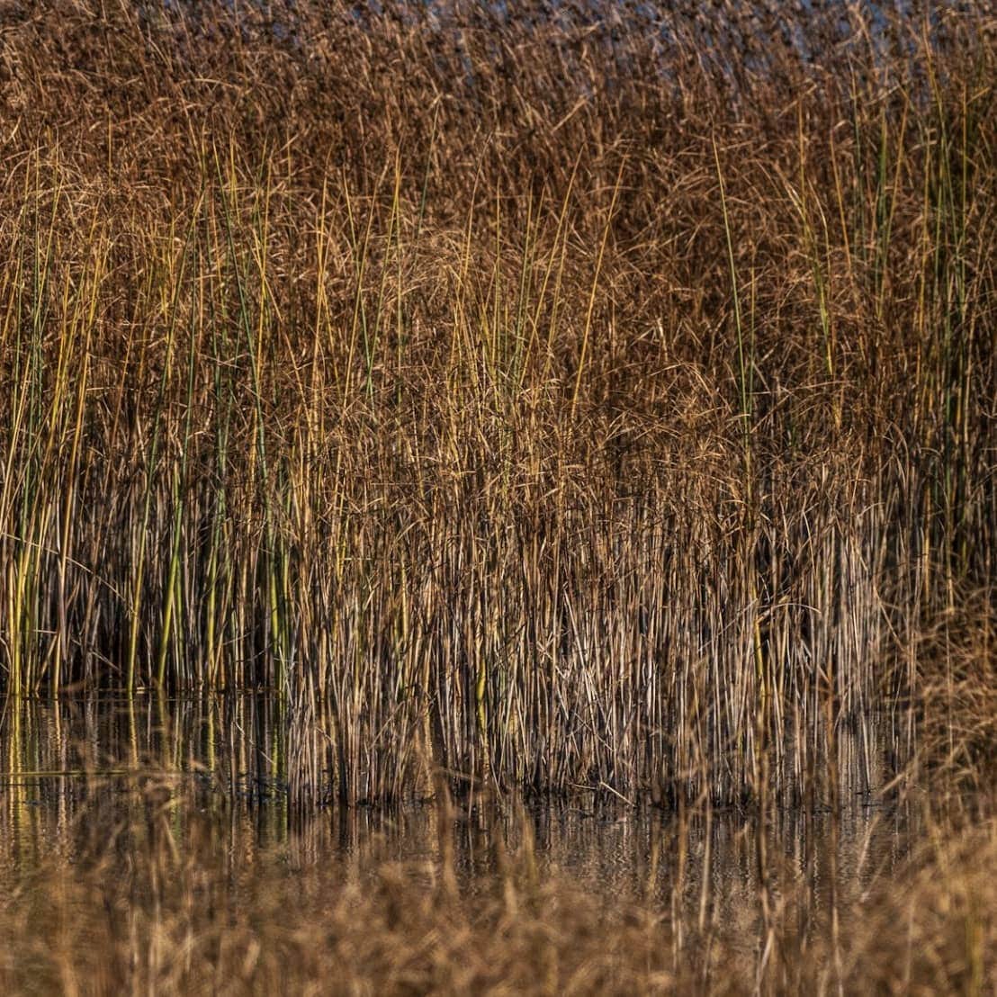 💧 Tip in Clean Water