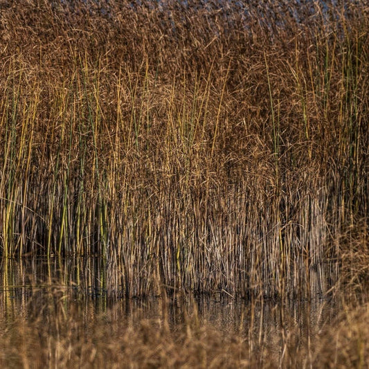 💧 Tip in Clean Water