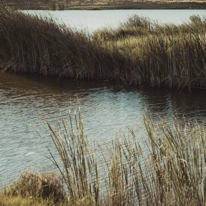 💧 Tip in Clean Water