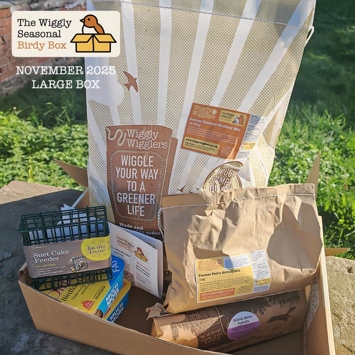 Subscribe and Save Birdy Box - Large