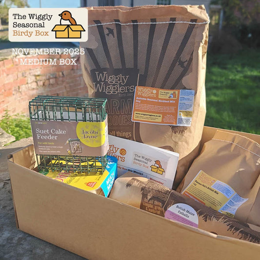 Subscribe and Save Birdy Box - Medium