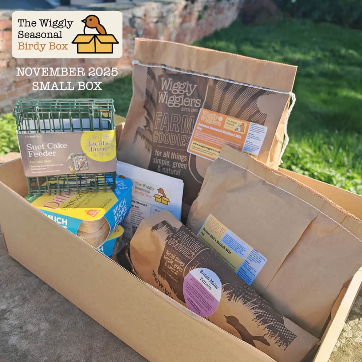 Subscribe and Save Birdy Box - Small