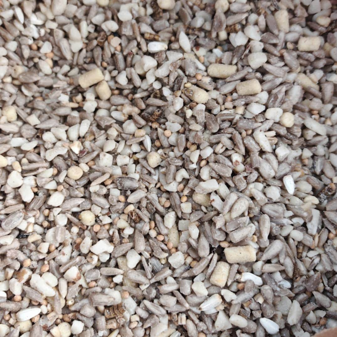 Winter Wiggly Seasonal Seed Mix