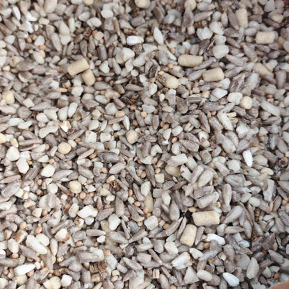 Winter Wiggly Seasonal Seed Mix