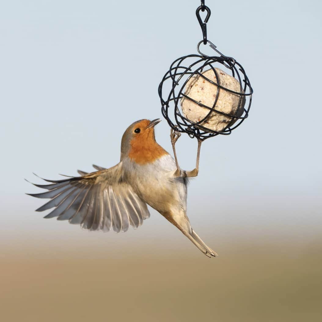 British Super Suet Fatballs