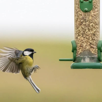 Subscribe and Save Birdy Box - Large