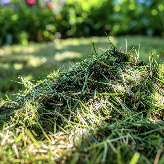Wiggly Complete Rot – The Perfect Solution for Composting Grass Clippings