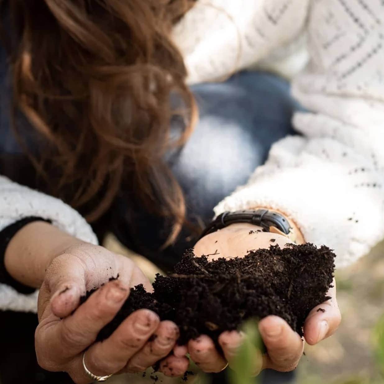 Wiggly Complete Rot – The Perfect Solution for Composting Grass Clippings