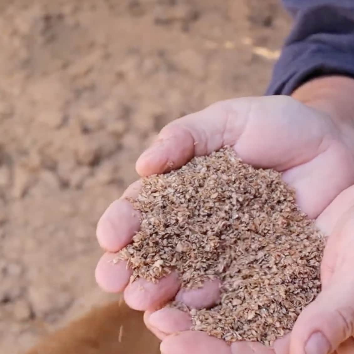 Wiggly’s LIVE Bokashi Active Bran – Turn Food Waste into Living Soil | Made on Our Herefordshire Farm