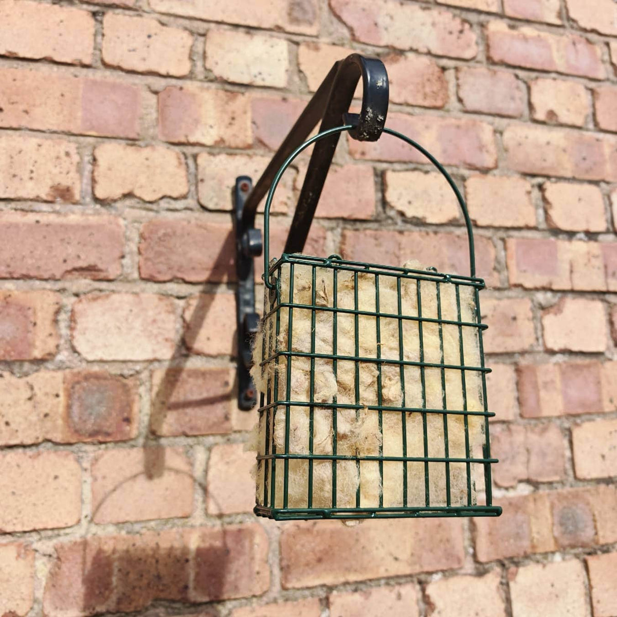 Wiggly Woolch Starter Box + Free Nesting Cage