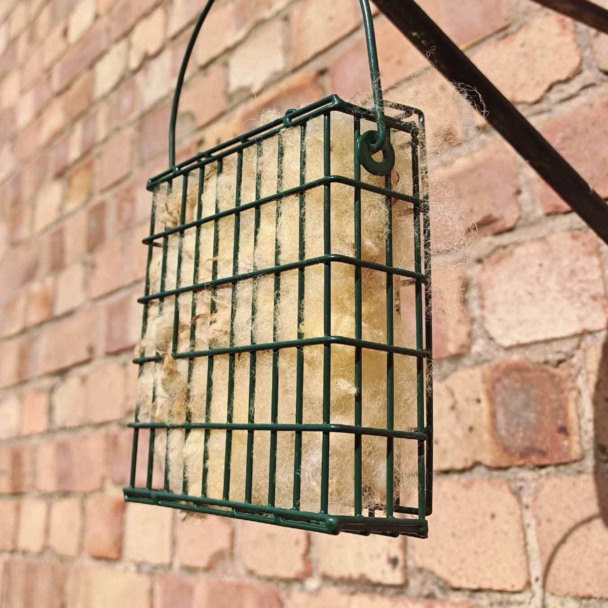 Wiggly Woolch Starter Box + Free Nesting Cage