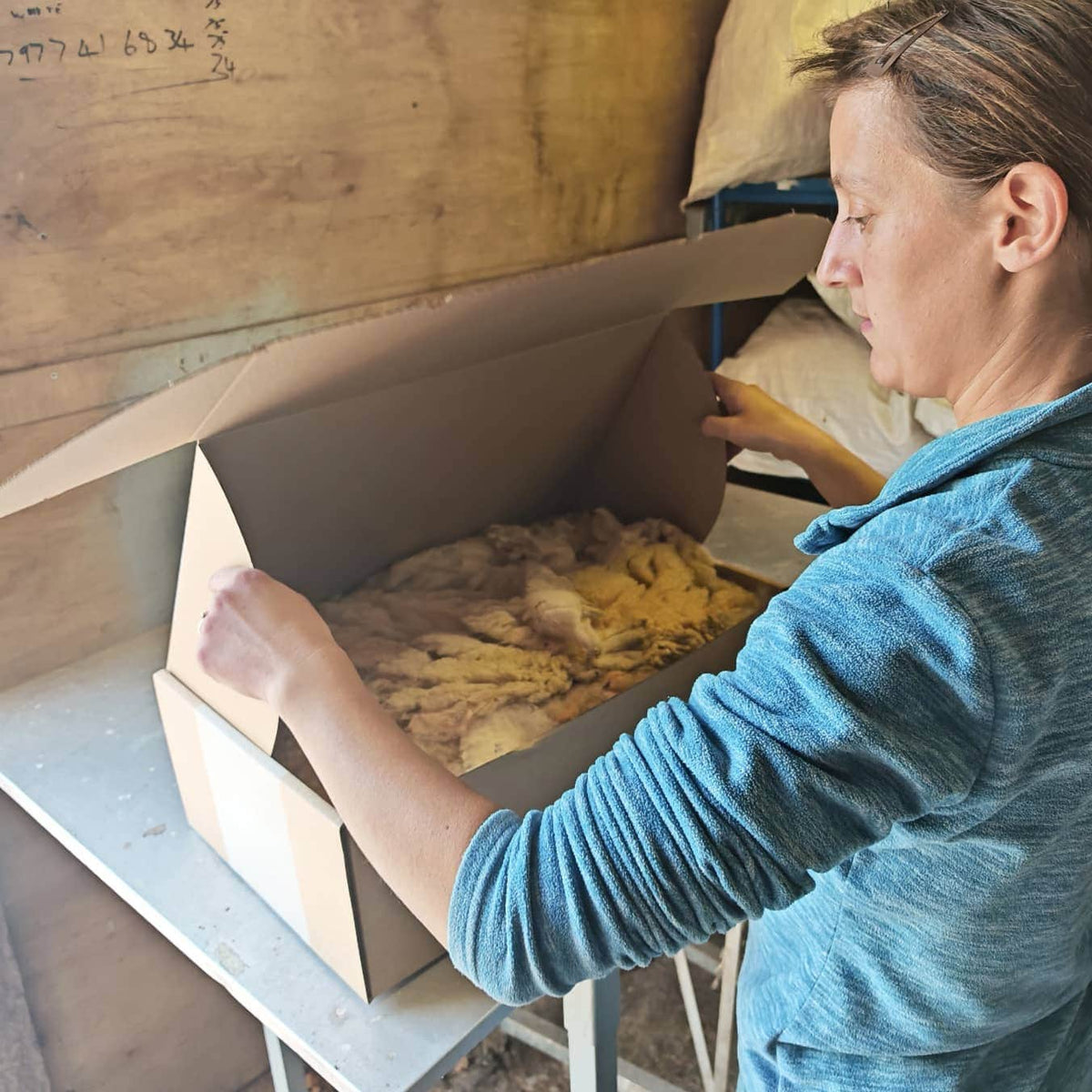 Wiggly Woolch Starter Box + Free Nesting Cage