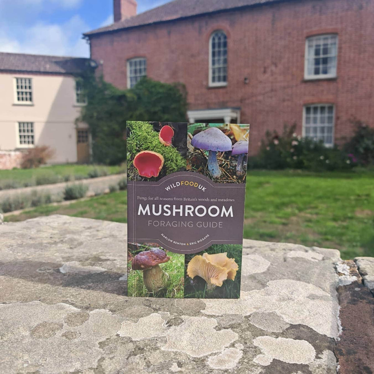 The Wild Food UK Mushroom Foraging Guide