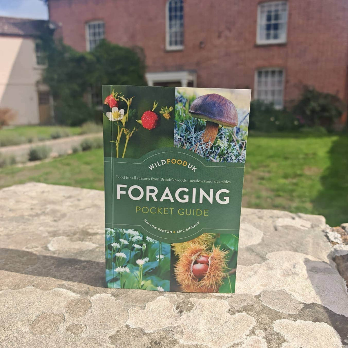 The Wild Food UK Foraging Pocket Guide