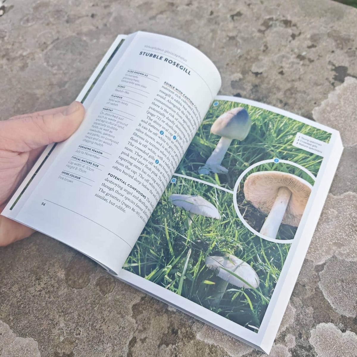The Wild Food UK Mushroom Foraging Guide