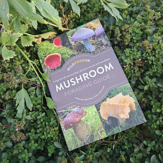 The Wild Food UK Mushroom Foraging Guide