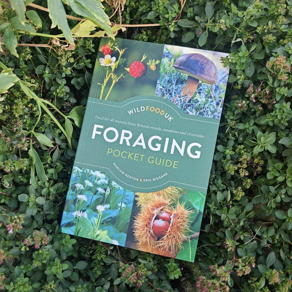 The Wild Food UK Foraging Pocket Guide