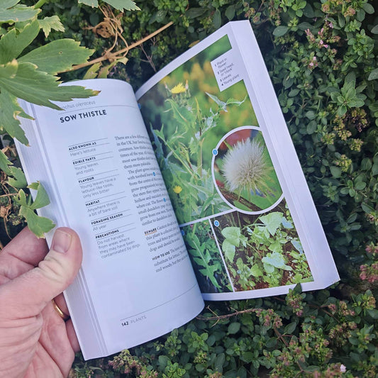 The Wild Food UK Foraging Pocket Guide