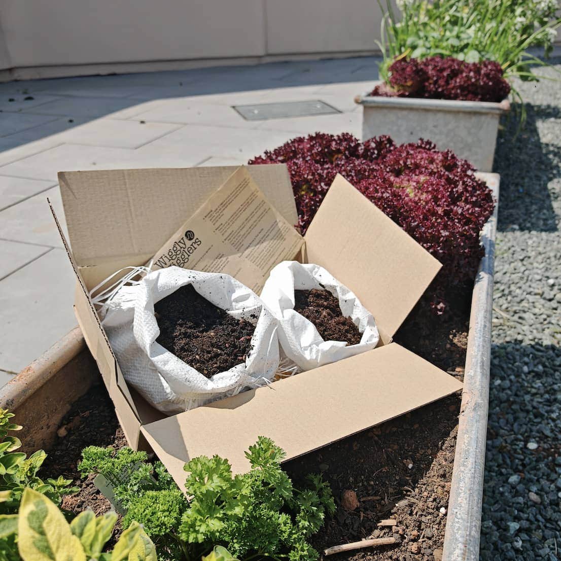 Worms for Raised Beds Kit