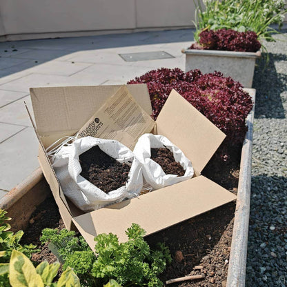 Worms for Raised Beds Kit