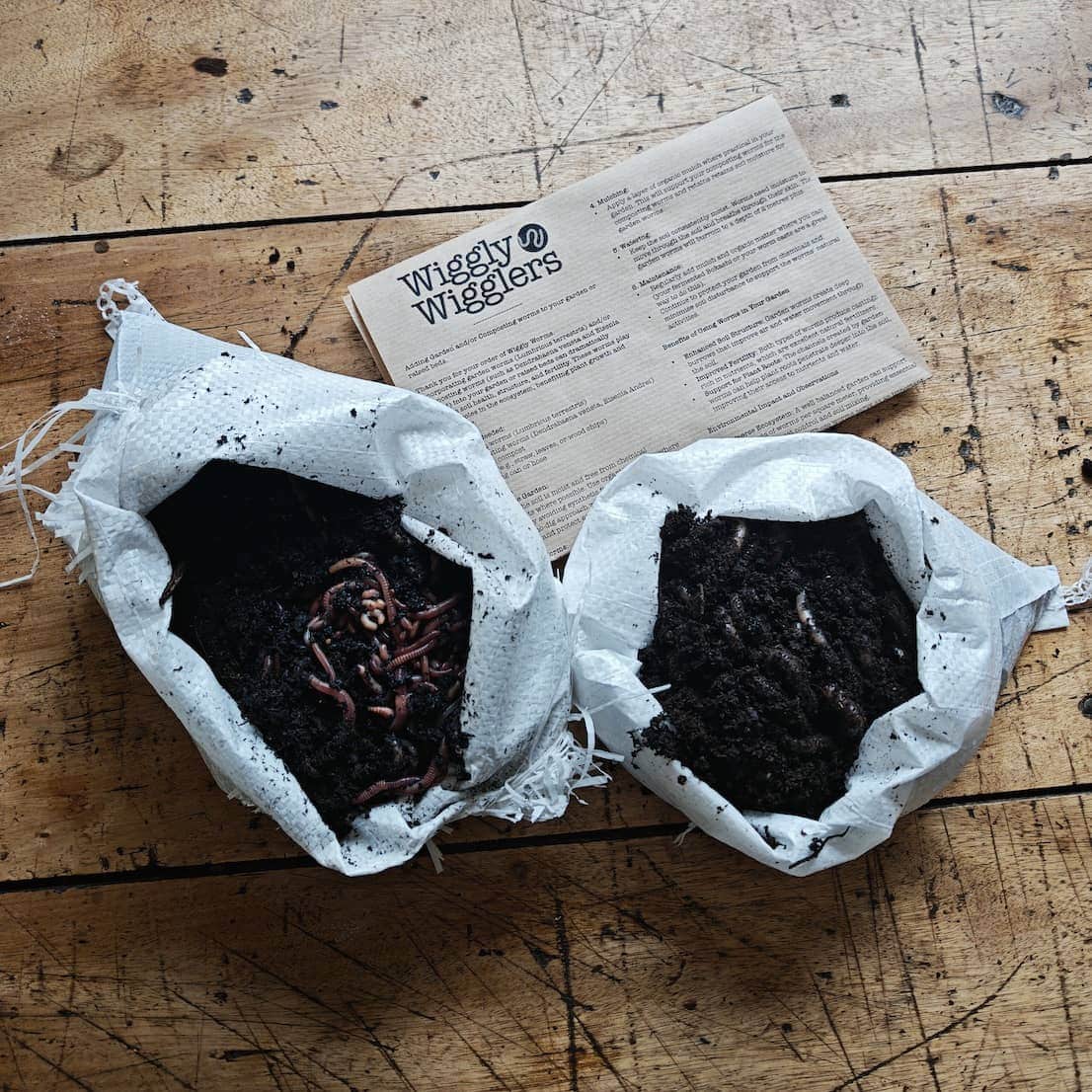 Worms for Raised Beds Kit