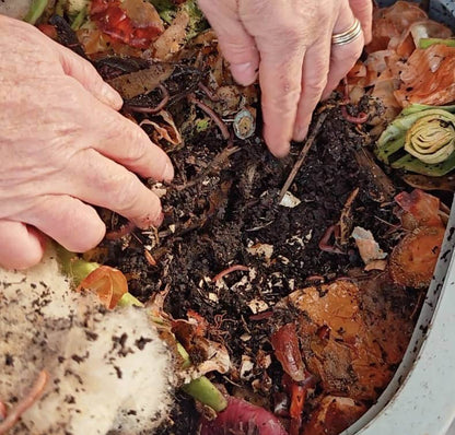 Wormery Rescue Kit – Fix Smelly, Soggy or Slow Wormeries Fast