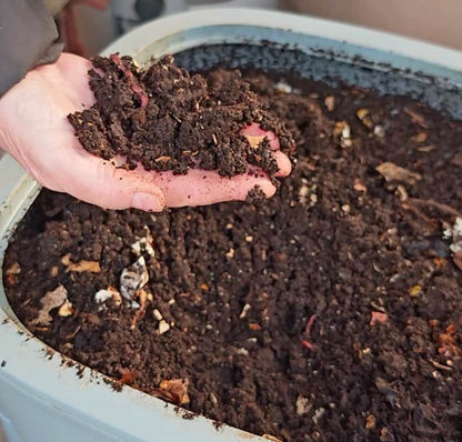 Wormery Rescue Kit – Fix Smelly, Soggy or Slow Wormeries Fast