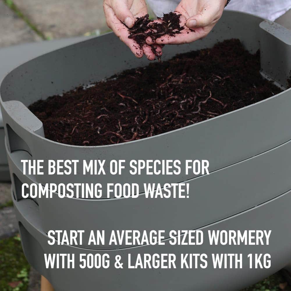 Composting Worms Voucher