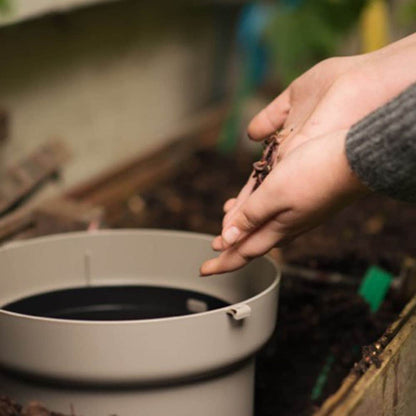 Wiggly SoilBuilder Wormery – The InGround Compost & Soil Health System