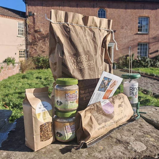 Subscribe and Save Birdy Box - Medium