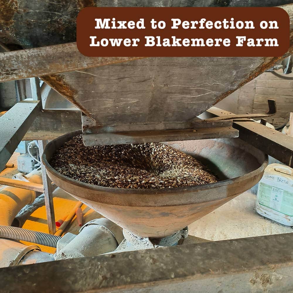 Wiggly Seasonal Birdfood Mix