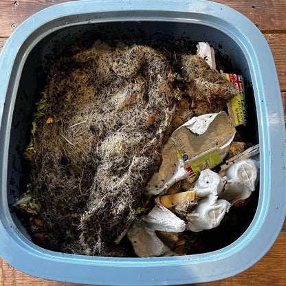 Plastia Compact Worm Farm Starter Value Pack