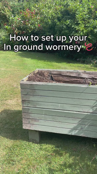 In-Ground Worm Farm Complete Kit – Turn Kitchen Waste into Living Soil (Raised Beds & Gardens)