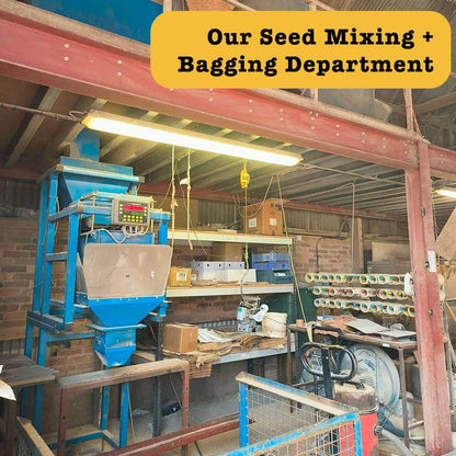 Subscribe & Save Wiggly Seasonal Birdfood Mix