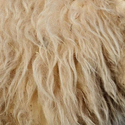 Wiggly Woolch - Raw Sheep’s WOOL MULCH – 10kg