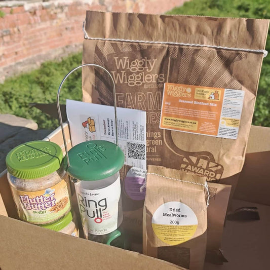 Subscribe and Save Birdy Box - Small