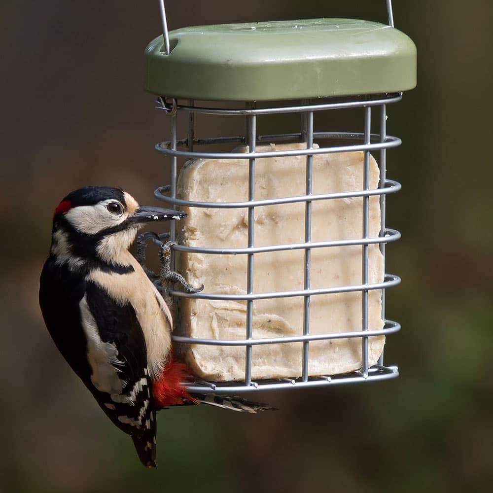 See The Difference Mixed Seeds Suet Cake - Pack of 2