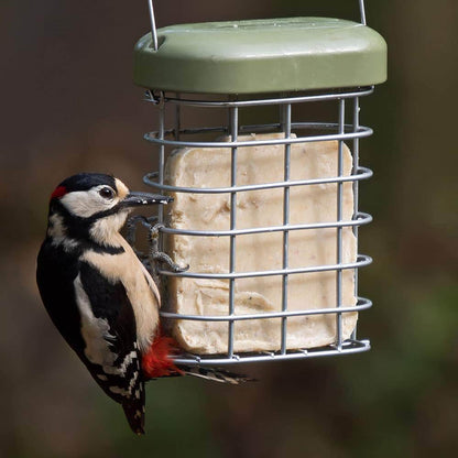 See The Difference Mixed Seeds Suet Cake - Pack of 2