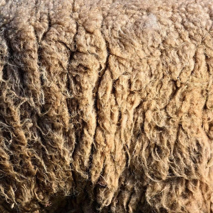 Wiggly Woolch - Raw Sheep’s WOOL MULCH – 10kg