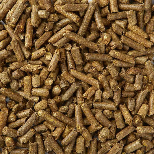 Composting LBF Complete Rot for Grass