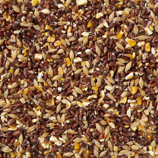 Birdfood LBF Wiggly Mixed Corn