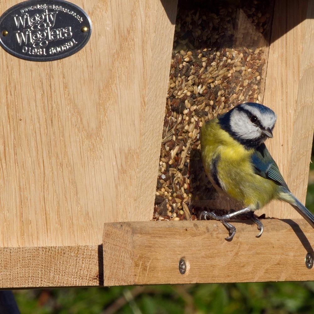 Birdfood LBF Wiggly Seed Extra - 12.55kg
