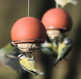 Birdfood 4.5kg British Maize Fatballs PLUS 2 Free Suet Cakes!