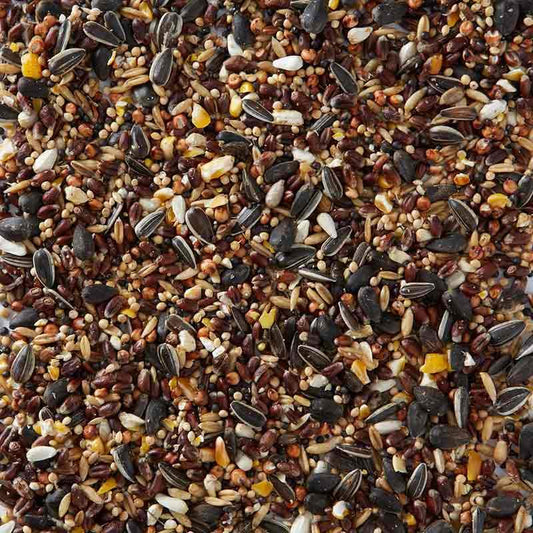Birdfood LBF Wiggly Seed