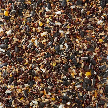 Birdfood LBF Wiggly Seed 12.55kg
