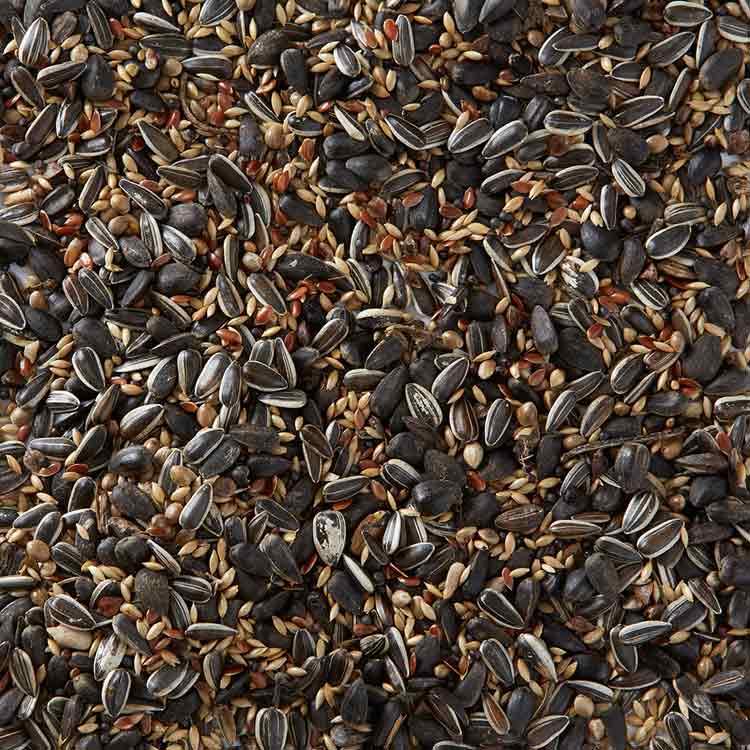 Birdfood LBF Wiggly Seed Extra - 12.55kg