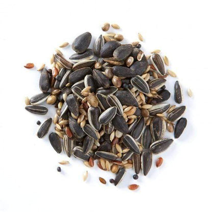 Birdfood LBF Wiggly Seed Extra 3-Month Gift Subscription