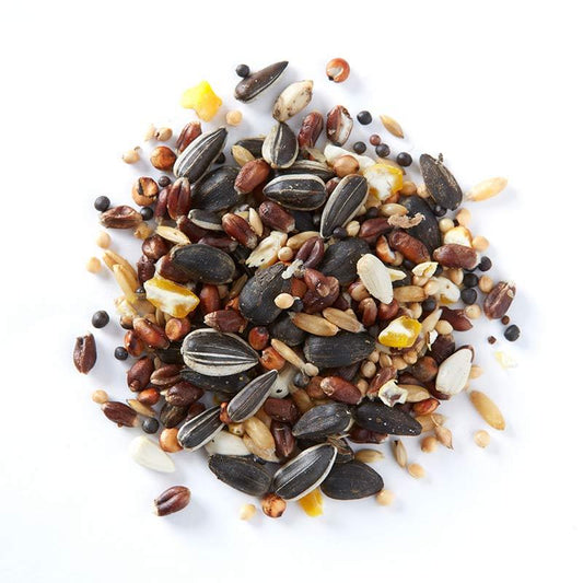 Birdfood LBF Wiggly Seed