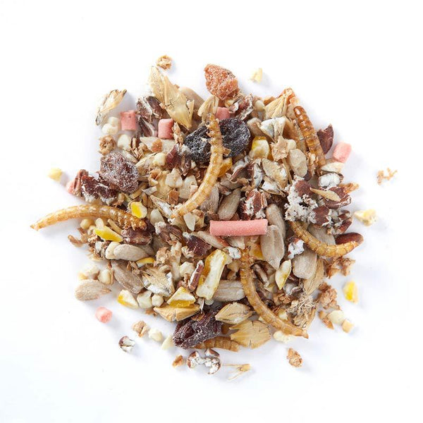 Birdfood LBF Wiggly Softbill Mix