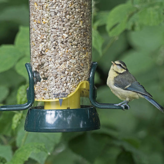 BigEasy™ Seed Feeder + 6kg Farmer Phil's British Mix